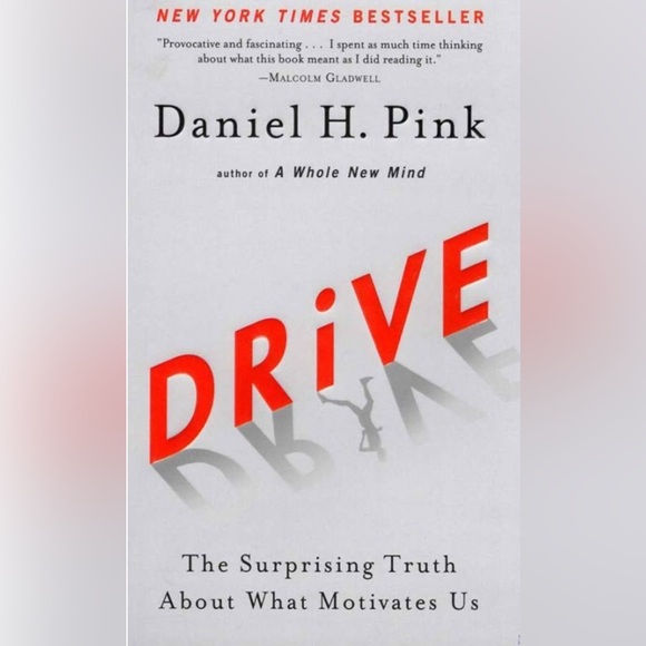 3/$30 Drive: The Surprising Truth About What Motivates Us - Picture 2 of 3